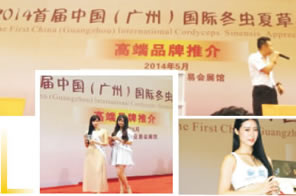 首届中国（广州）国际冬虫夏草品鉴会【高端品牌推介会】