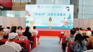2023“黔系列”广州推介会
